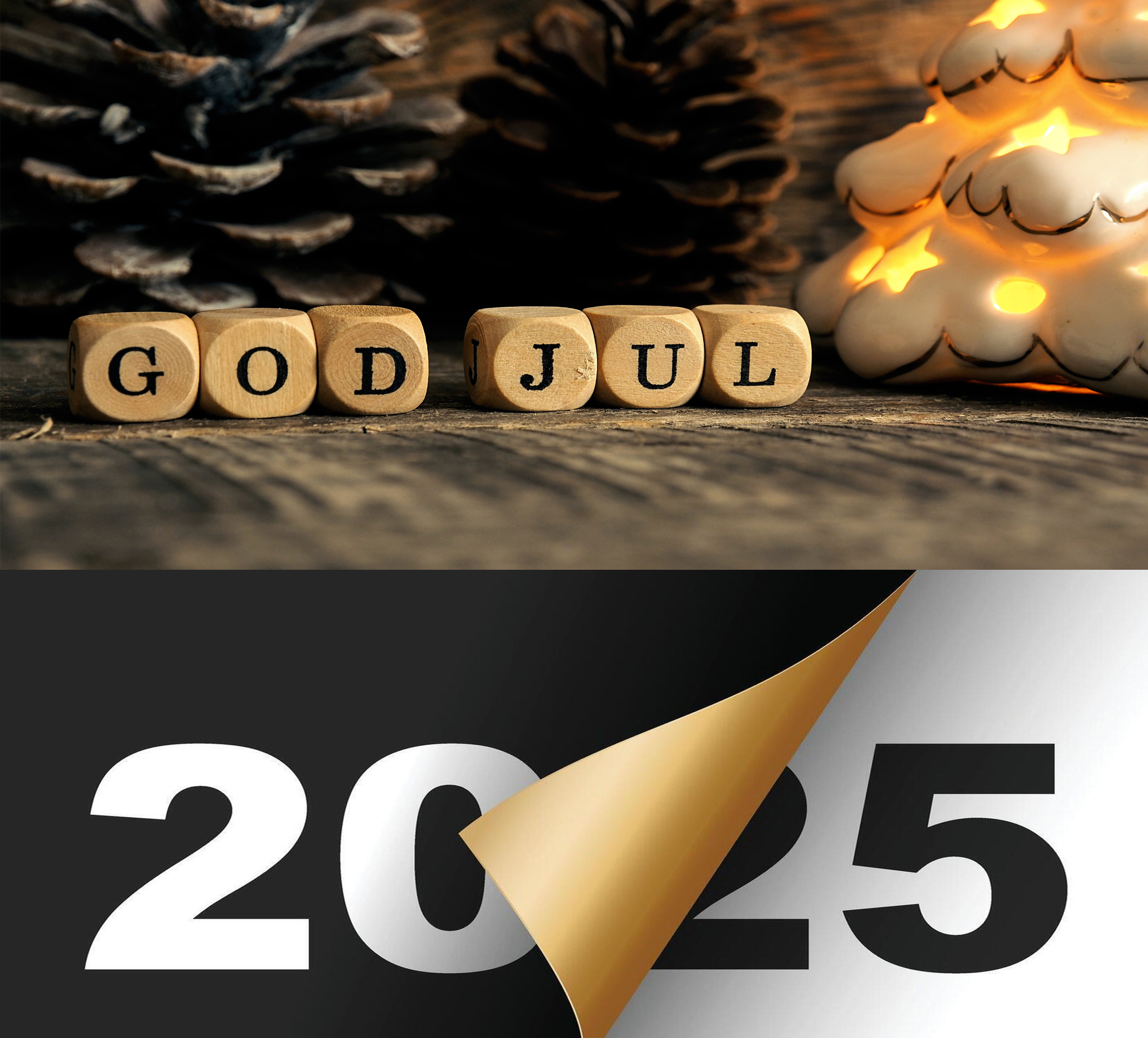 God Jul och gott nytt år!